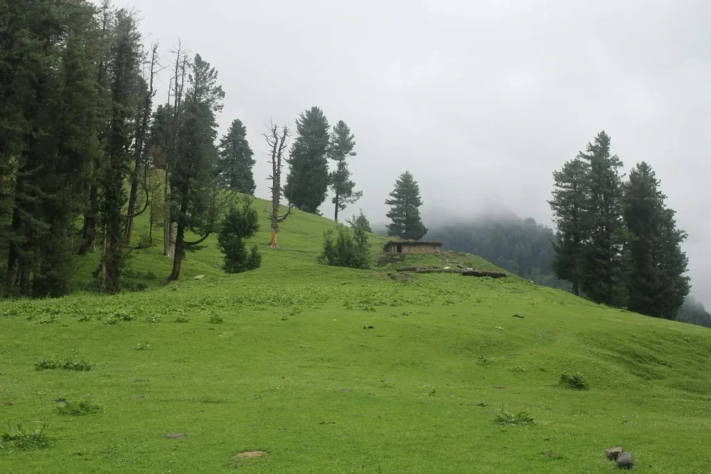Kashmir tour plan 8 nights 9 days by Travel My Kashmir