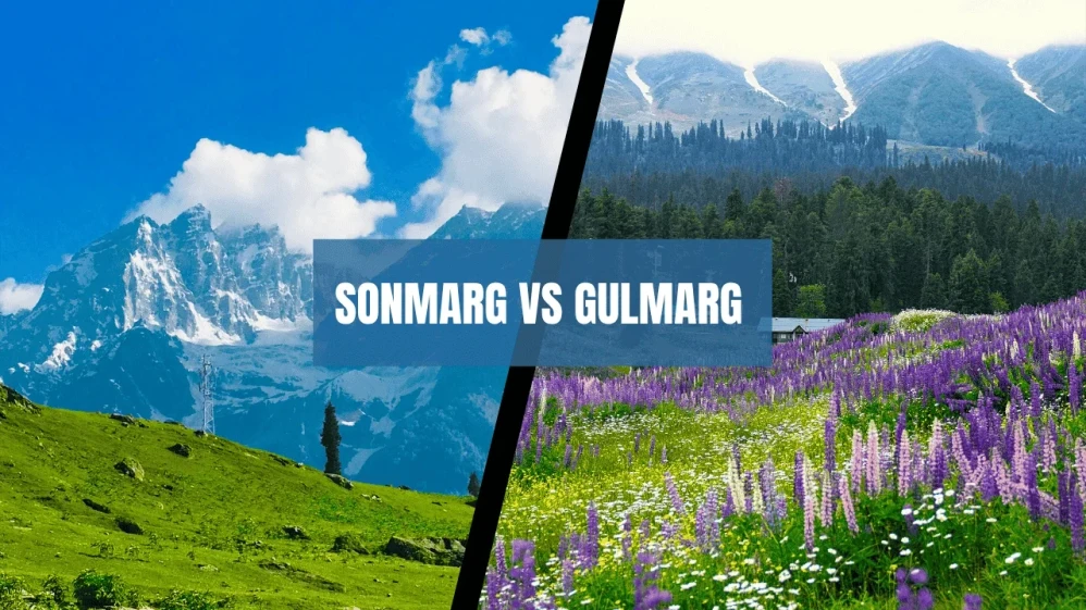 which is better sonmarg or gulmarg