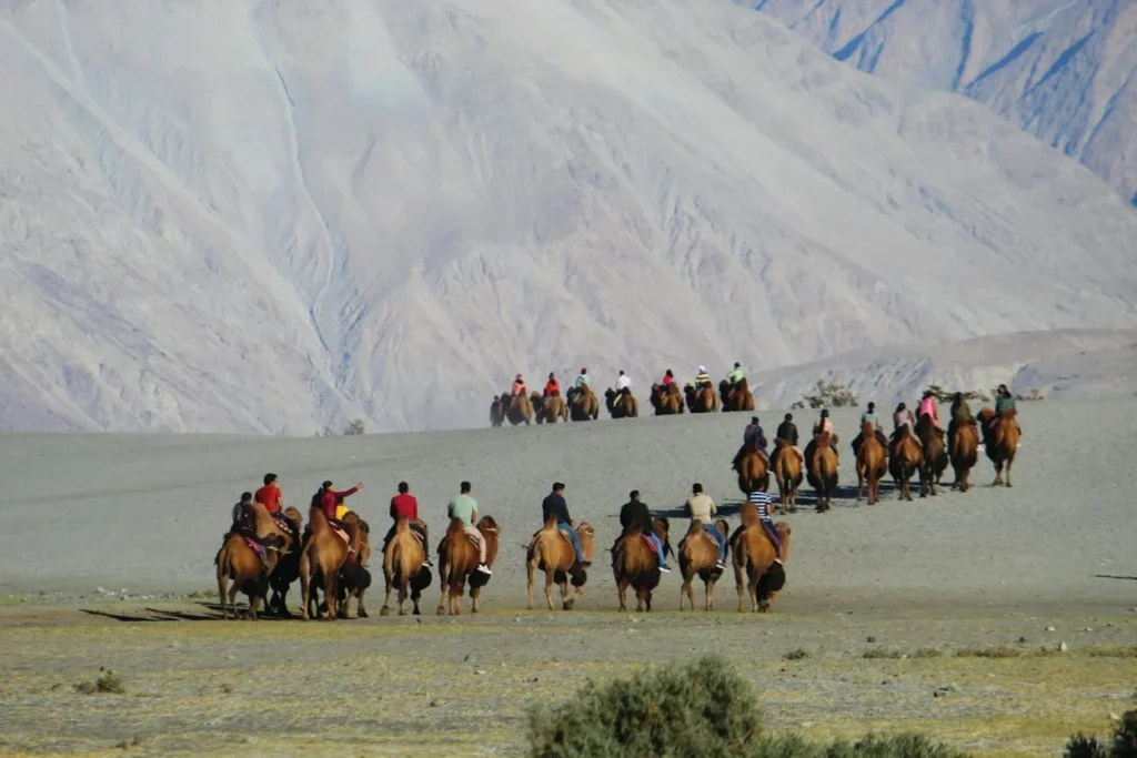 6 Nights 7 days ladakh tour package by Travel My Kashmir