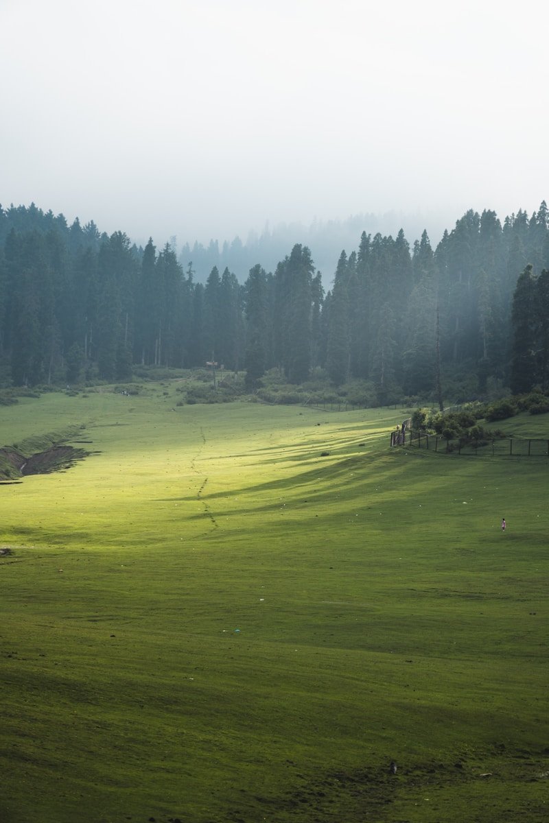 Doodhpathri Meadows