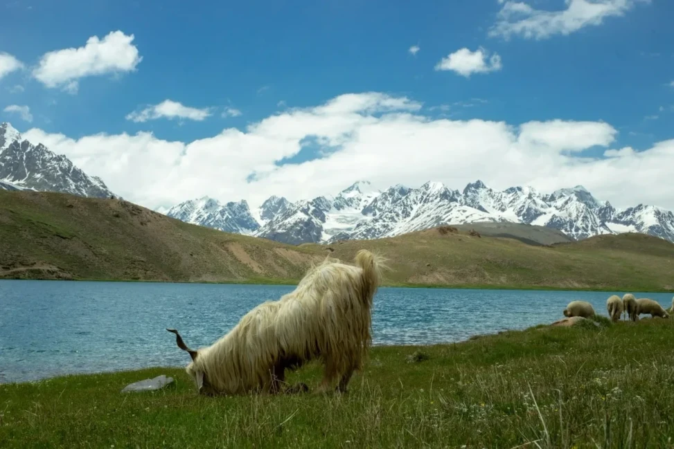 Best time to visit Kargil- Srinagar to Kargil distance