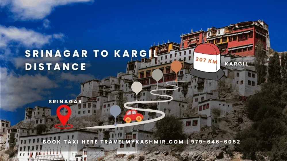 srinagar to kargil distance