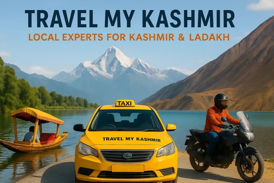Travelling with Travel My Kashmir Travel Agency