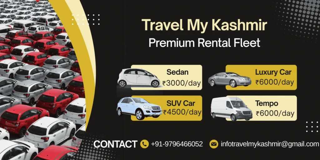 Travel My Kashmir Fleet