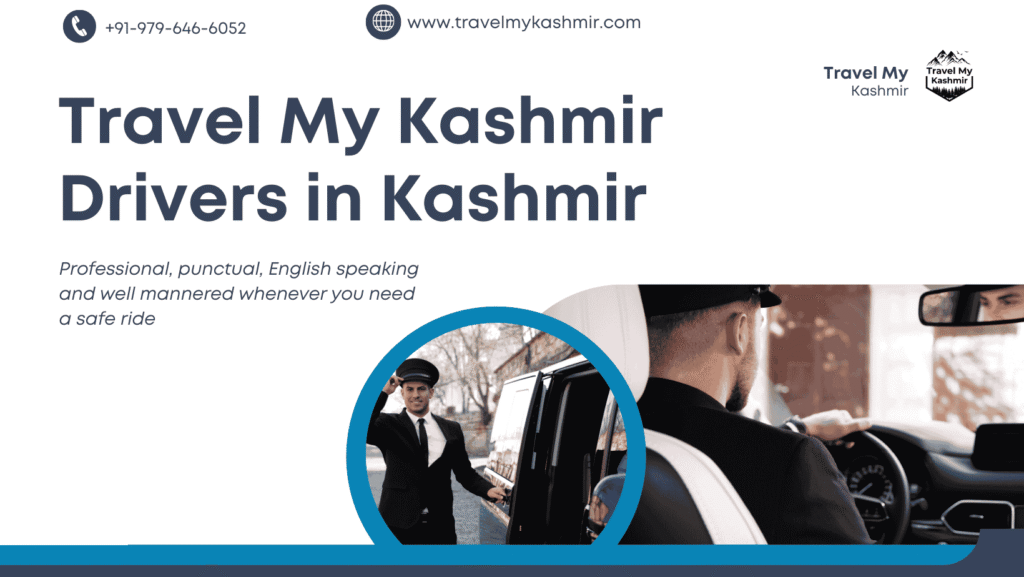 Travel My Kashmir professional drivers