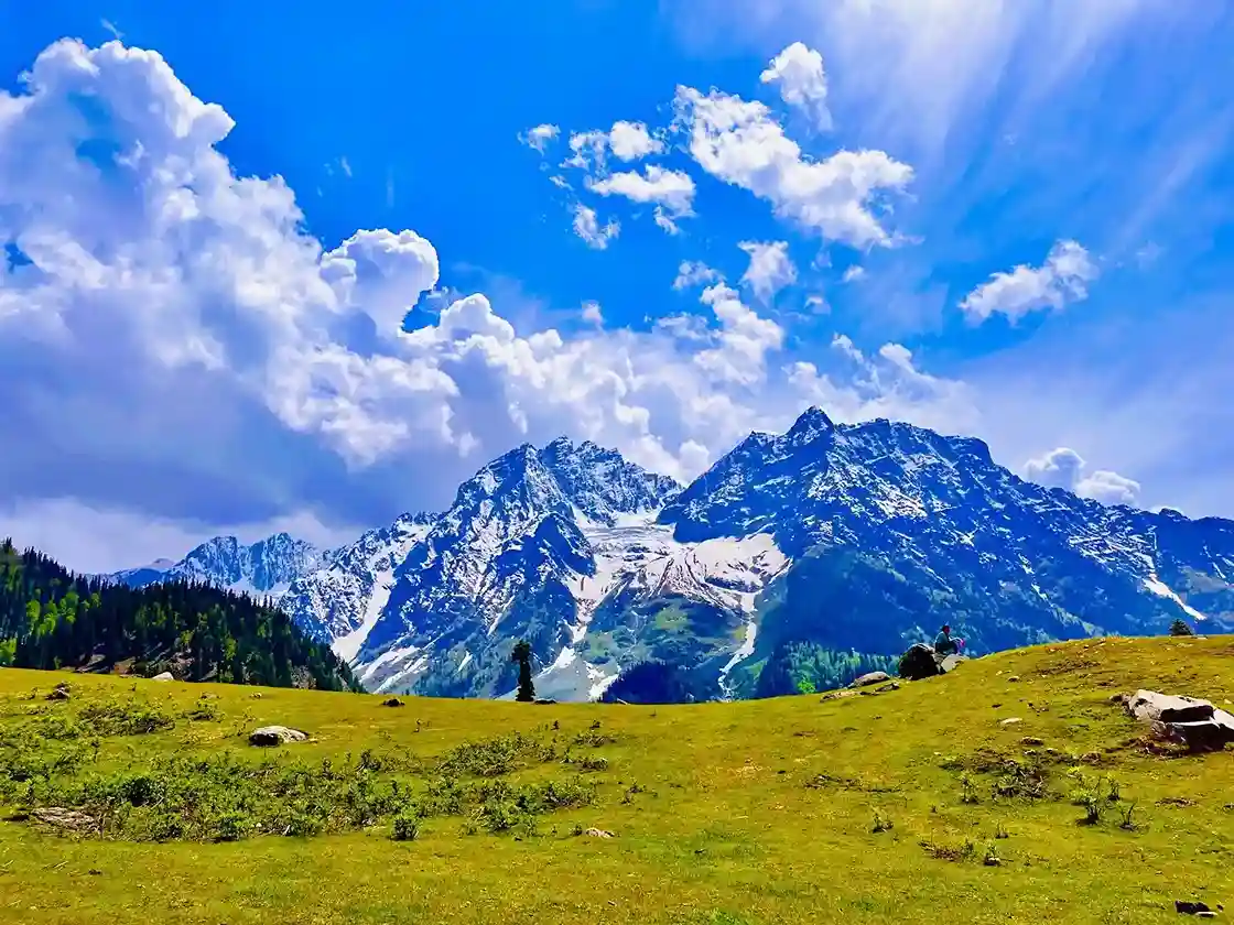 Sonmarg Spring Landscape