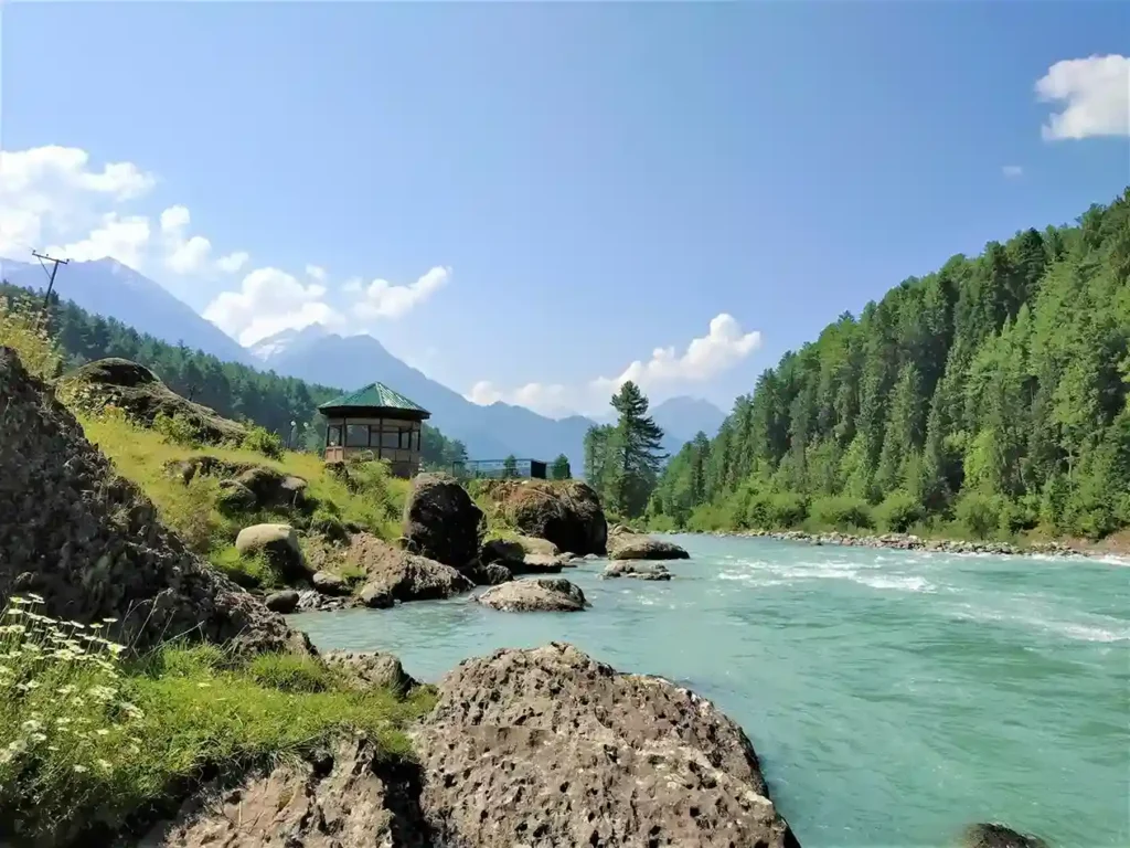 A view of lidder river pahalgam- Best place for honeymoon in Kashmir