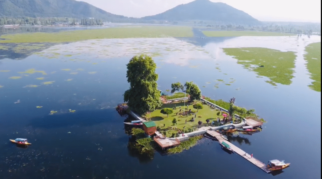 char chinar srinagar