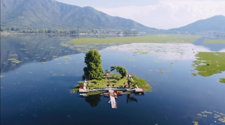char chinar dal lake Srinagar kashmir- Travel My Kashmir