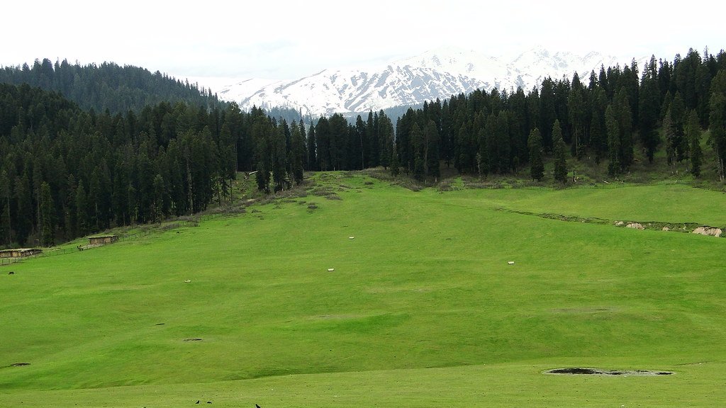 Doodhpathri Kashmir- Places to visit in Kashmir for Honeymoon