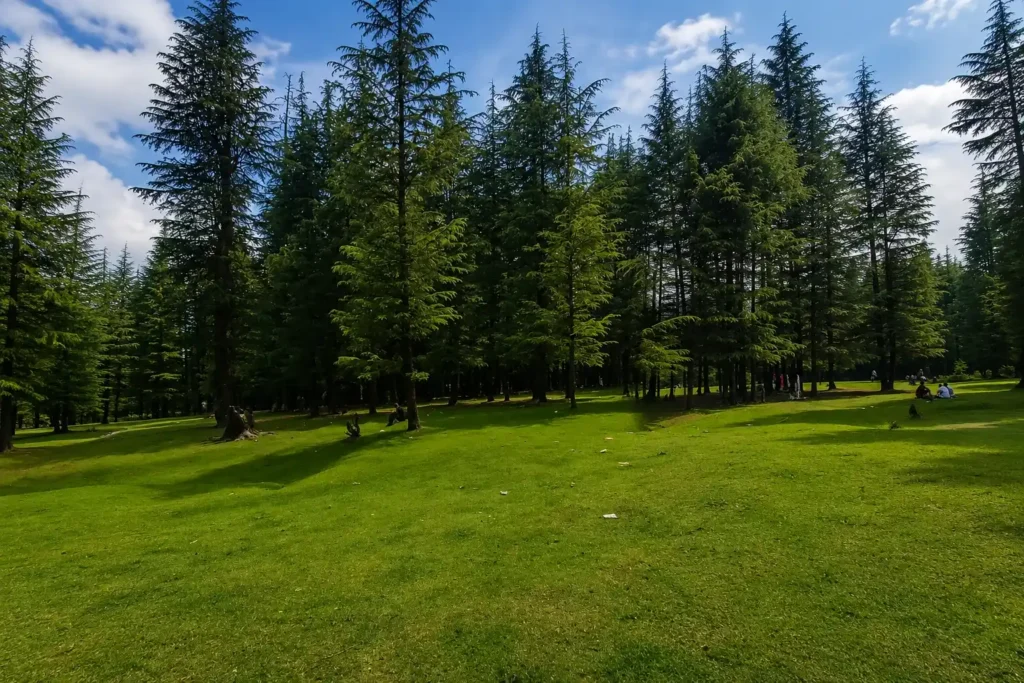 A view of Pujj Kabar tourist spot on way to new bangus road from Handwara