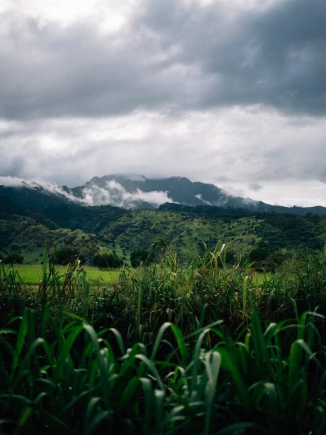 Kashmir Weather Alert: Heavy Snow & Rain Forecast (March 10-13)