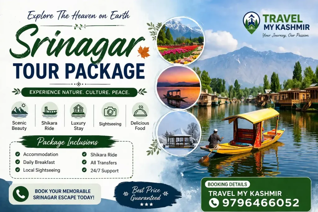Srinagar Tour Package by Tour and Travel Agency in Kashmir