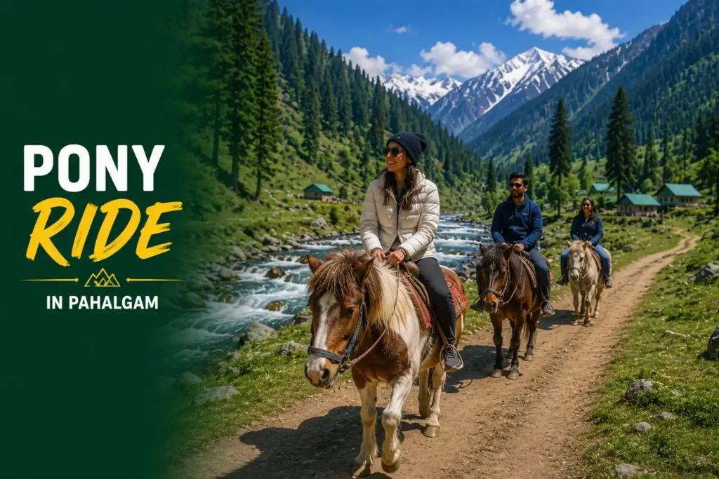 Activities in Pahalgam- Pony ride