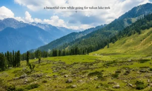 A beautiful view while going on the tulian valley trek