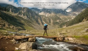 A trekker crossing a small stream on a wooden log while heading toward the Tulian Lake trek.