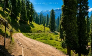 A view of tulian lake trek track- Travel My Kashmir