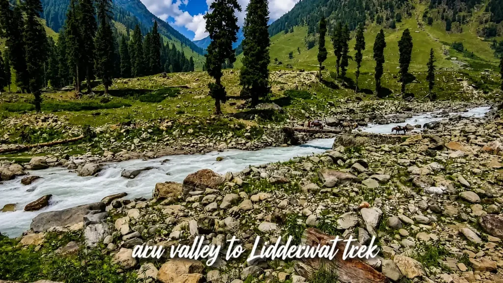 Aru valley to Lidderwat trekking