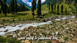 Aru valley to Lidderwat trekking