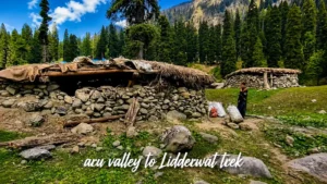 Aru valley trek- From Aru valley to Lidderwat