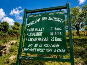 Aru valley trek guide