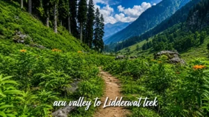 Aru valley trekking guide