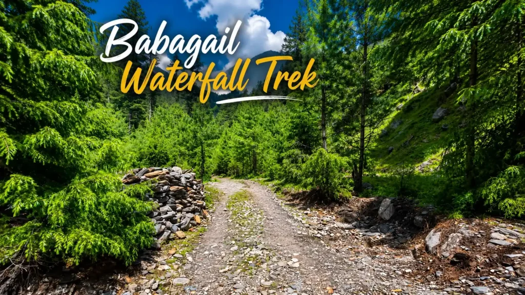 Babagil Waterfall trek trail through dense forest in Limber Wildlife Sanctuary, Baramulla Kashmir