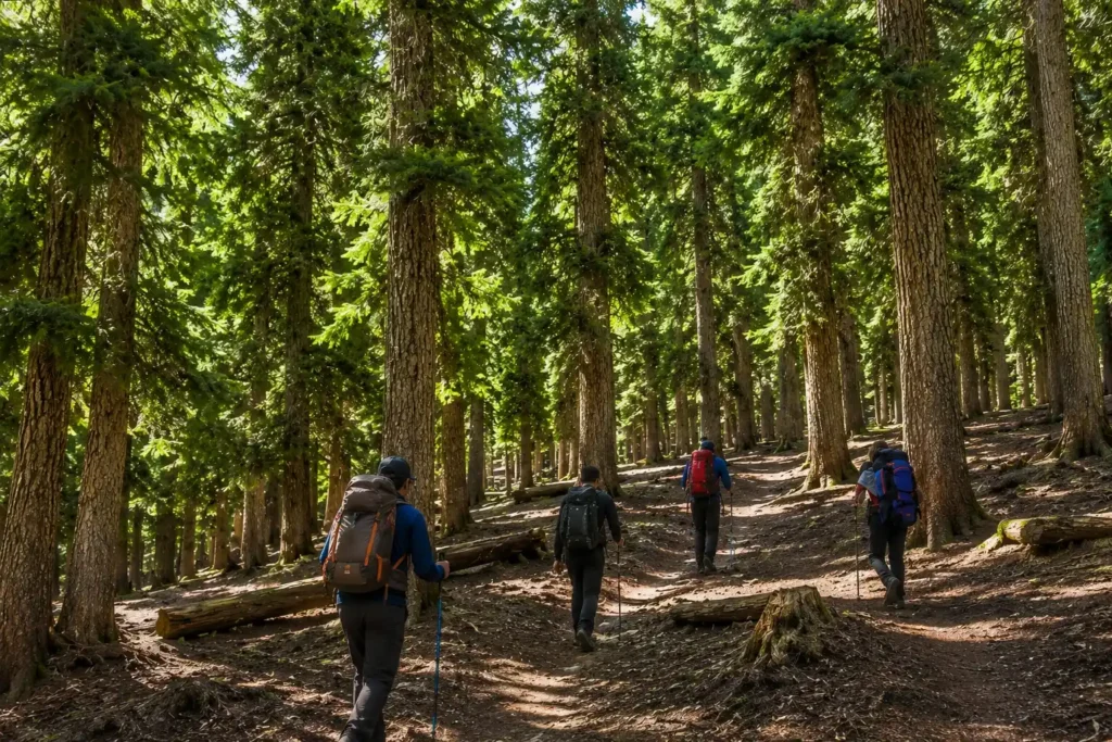 Gurez valley trek by travel my kashmir tour and travel agent