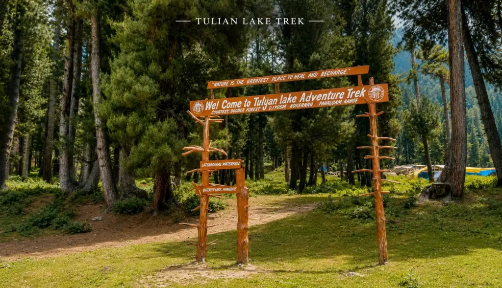 Tulian Lake Trek Starting point- Travel My Kashmir Travel Agency