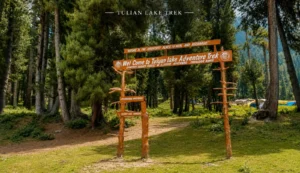 Tulian Lake Trek Starting point- Travel My Kashmir Travel Agency