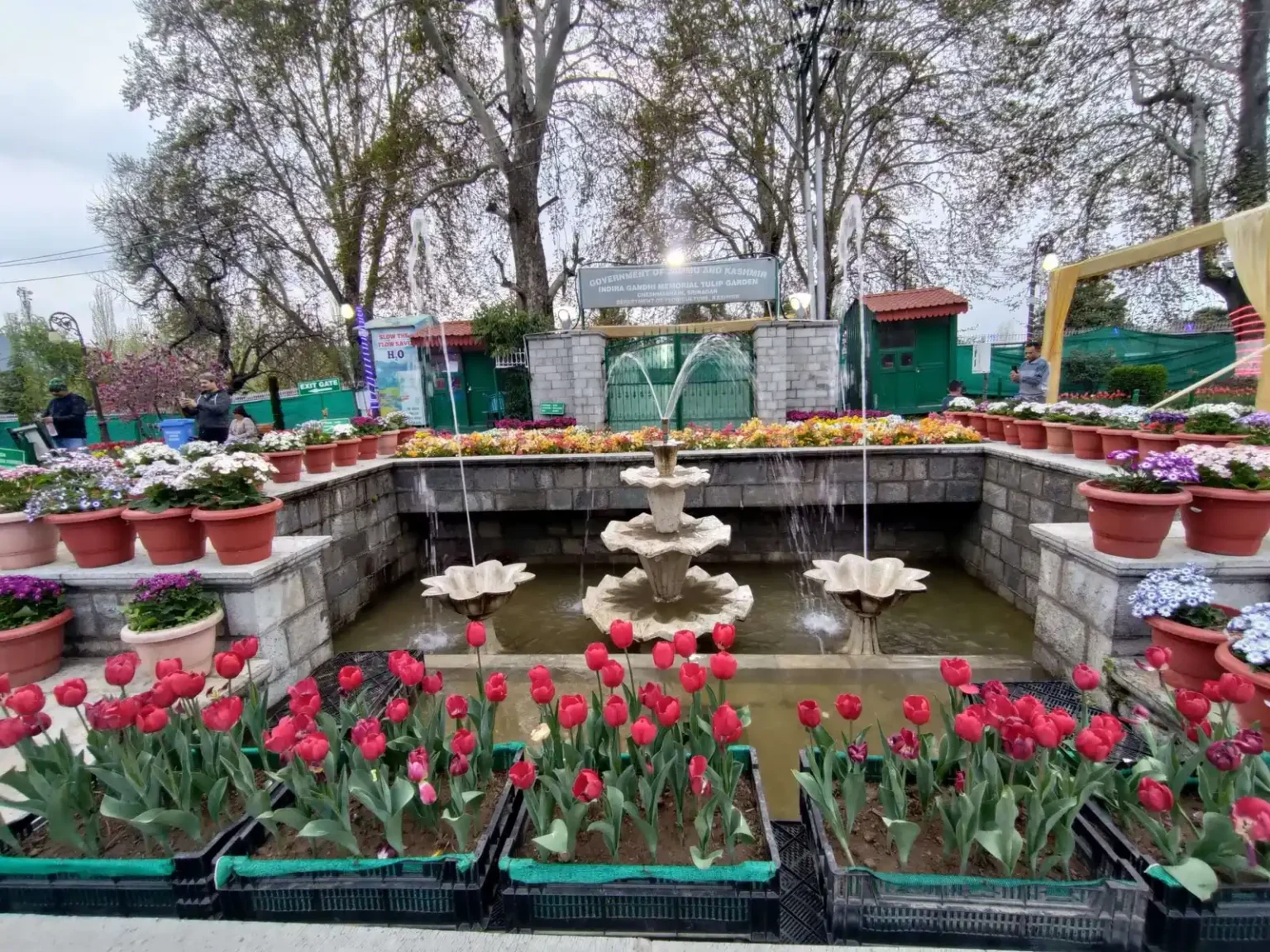 A fountain surrounded by colorful tulips in the Indira Gandhi Memorial Tulip Garden, Srinagar.