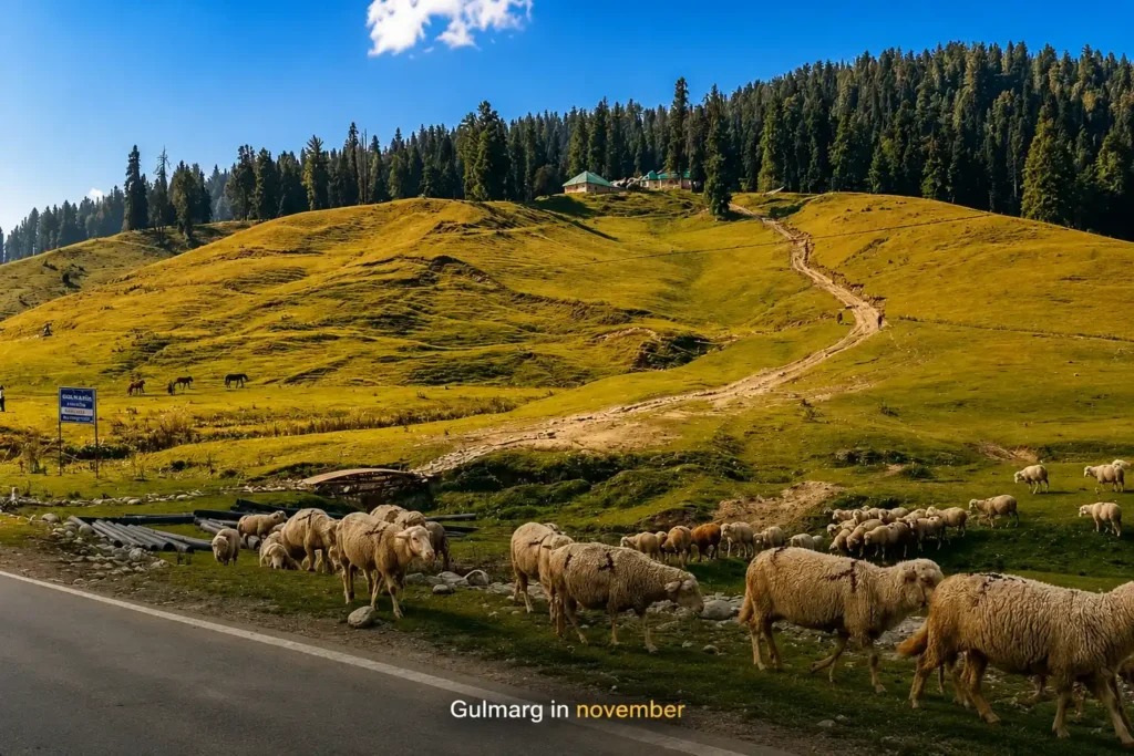Gulmarg in November - How Kashmir looks in November