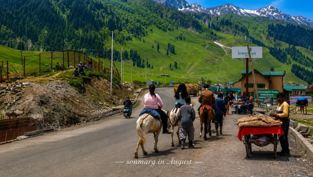 Sonmarg in August, how kashmir looks in August month