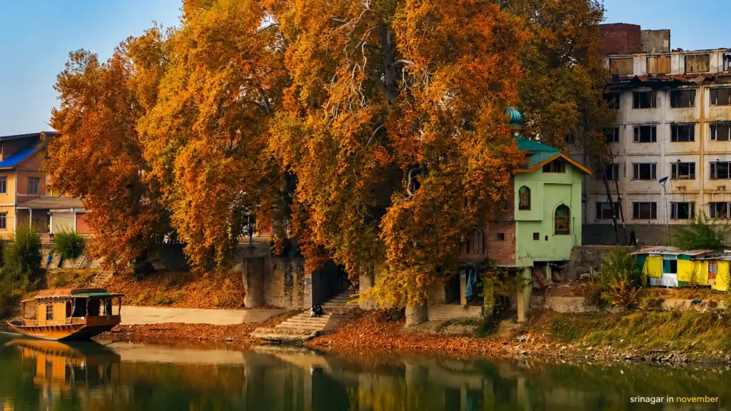 Srinagar in Autumn- Kashmir in November travel guide