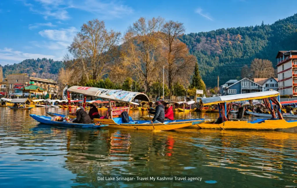 Best places to visit in Srinagar- Dal Lake Srinagar