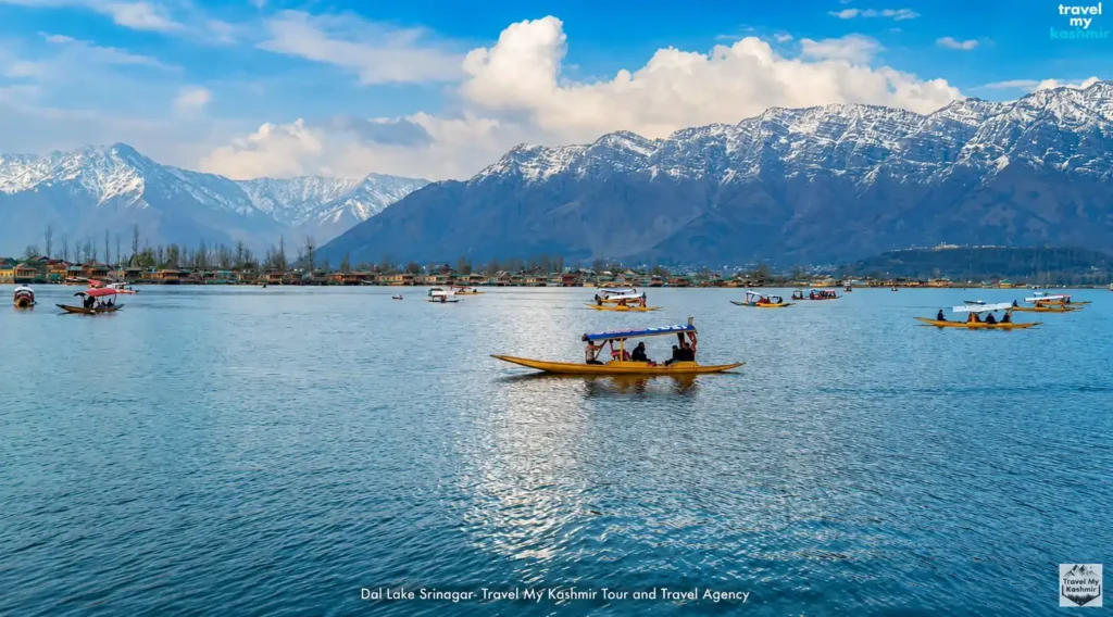 Dal Lake srinagar Tour guide- Travel My Kashmir
