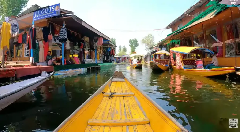The Interior of Dal lake Srinagar