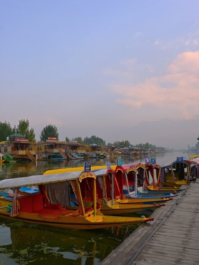 Top 7 Things to Do in Srinagar