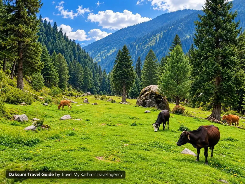 Daksum Valley Travel guide