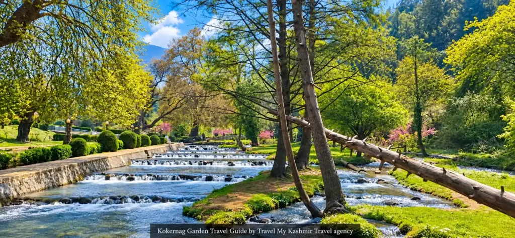 Kokernag garden