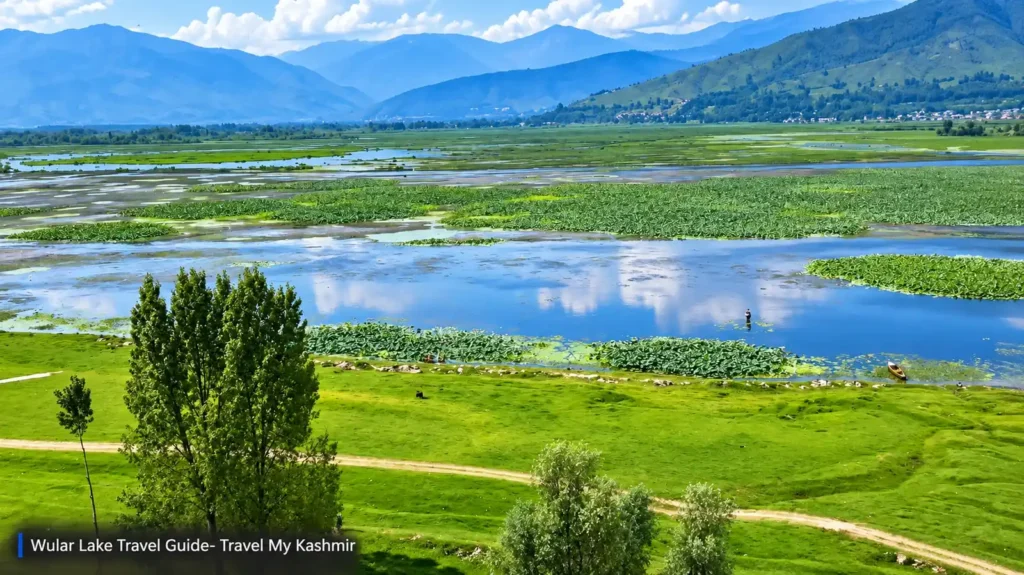 Panoramic view of Wular Lake and its surrounding wetlands in North Kashmir