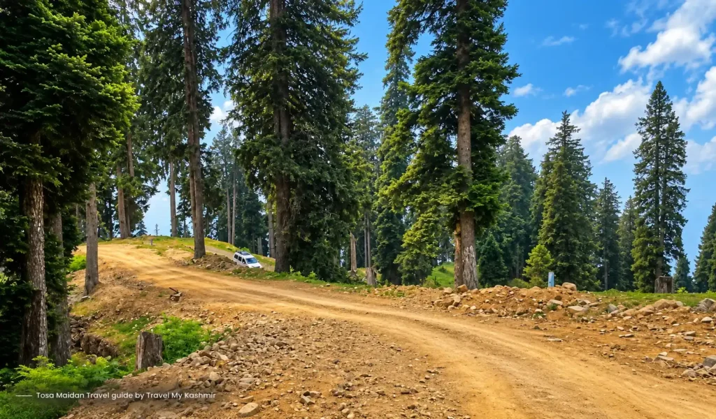 Road condition of Tosamaidan Meadow