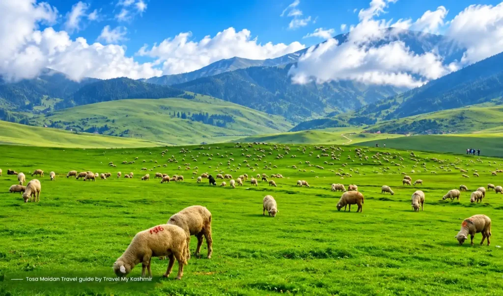 Best time to visit Kashmir