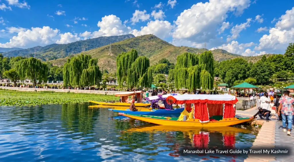 Vibrant-Shikaras-on-Manasbal-Lake