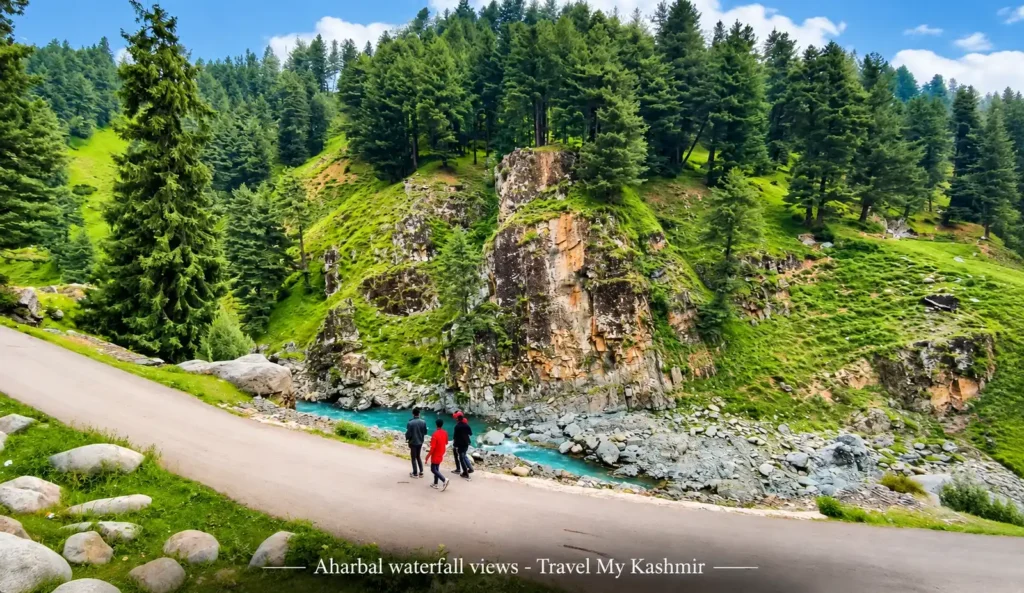View from Aharbal Waterfall garden