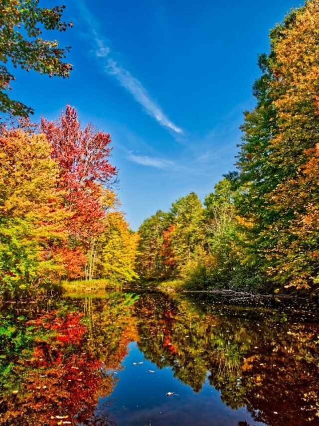 How Kashmir Looks in September