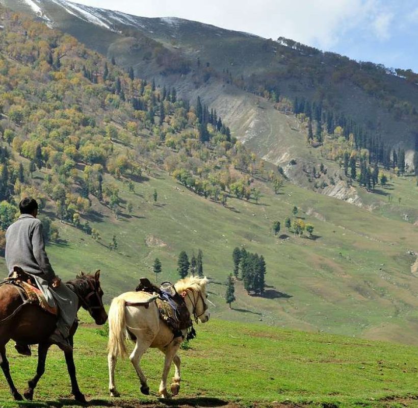 A man enjoying horse riding in Sonmarg - Kashmir cab service