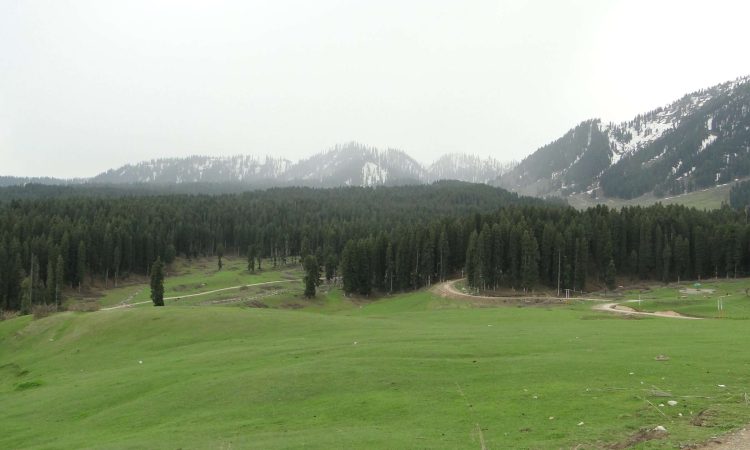 A scenic view of beautiful meadow of Kashmir