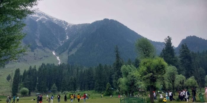 A beautiful view of Betaab valley Pahalgam