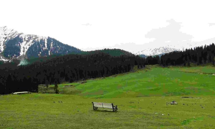 A bench with scenic view Doodhpathri Jammu Kashmir India